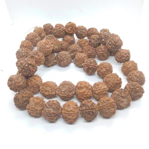 5Pcs Vajra Bodhi Netural Rudraksha Beads Meditation Mala